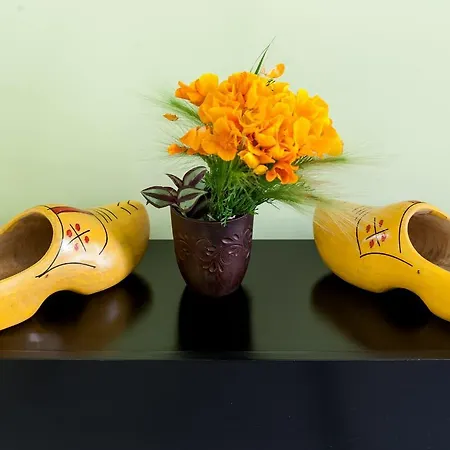 Vip In ♥ Of Appartamento Leopoli